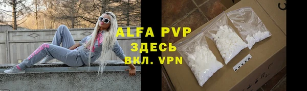 крисы Алексин