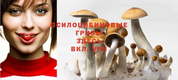 сатива Алзамай