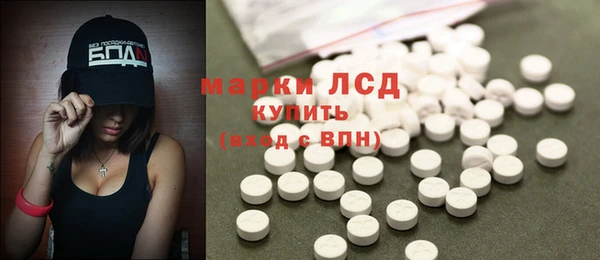 сатива Алзамай