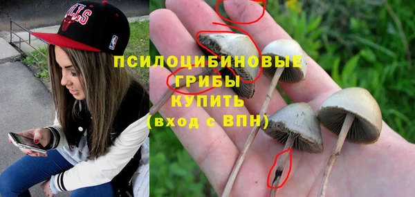 крисы Алексин