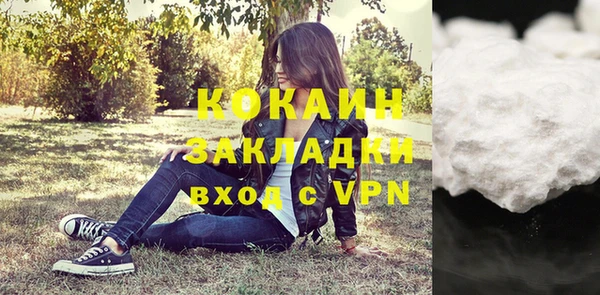 крисы Алексин