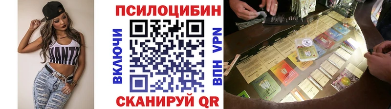 что такое наркотик  Боровск  Галлюциногенные грибы Psilocybe 